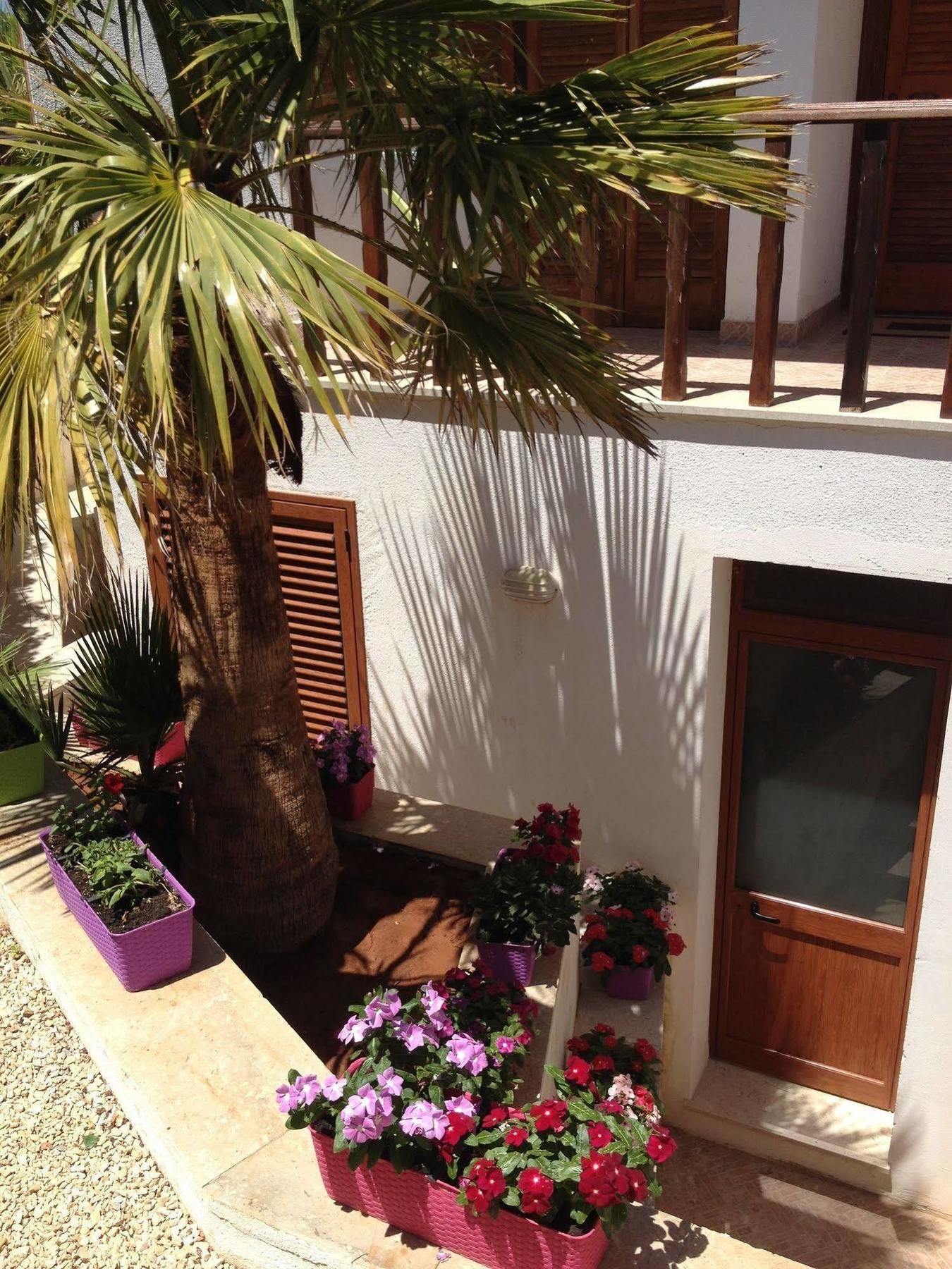 Villa Maria San Vito Lo Capo Bagian luar foto